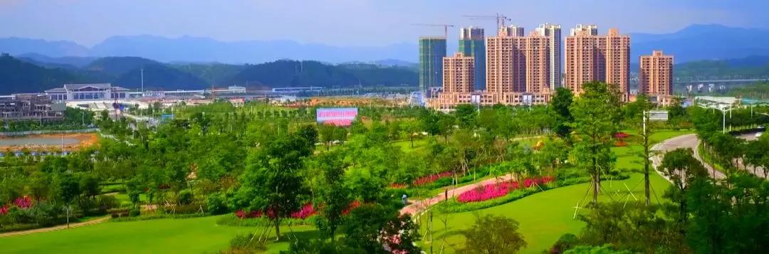 云浮新区始终坚持以科技创新为第一动力引领产业转型升级高质量发展