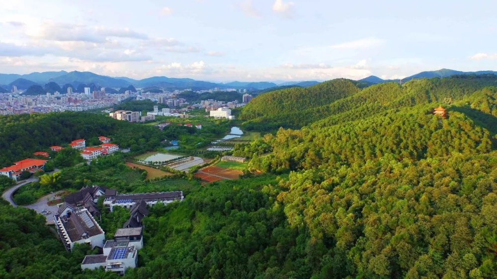 南山森林公园