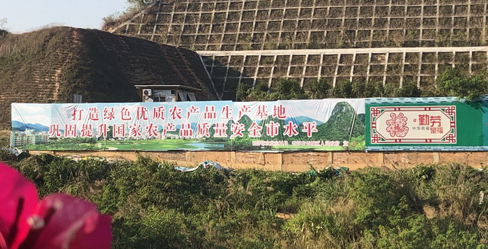 “国家农产品质量安全市”宣传牌 3.jpg