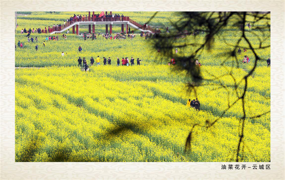 图片11.png