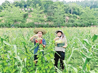yfrb0820005_002_01_b.jpg