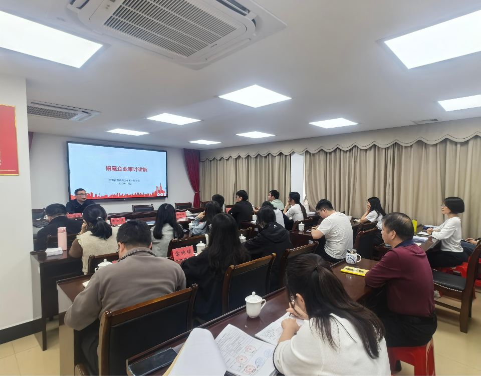 2025.12.24指导组到云安开展镇级纪审办审计业务培训.jpg