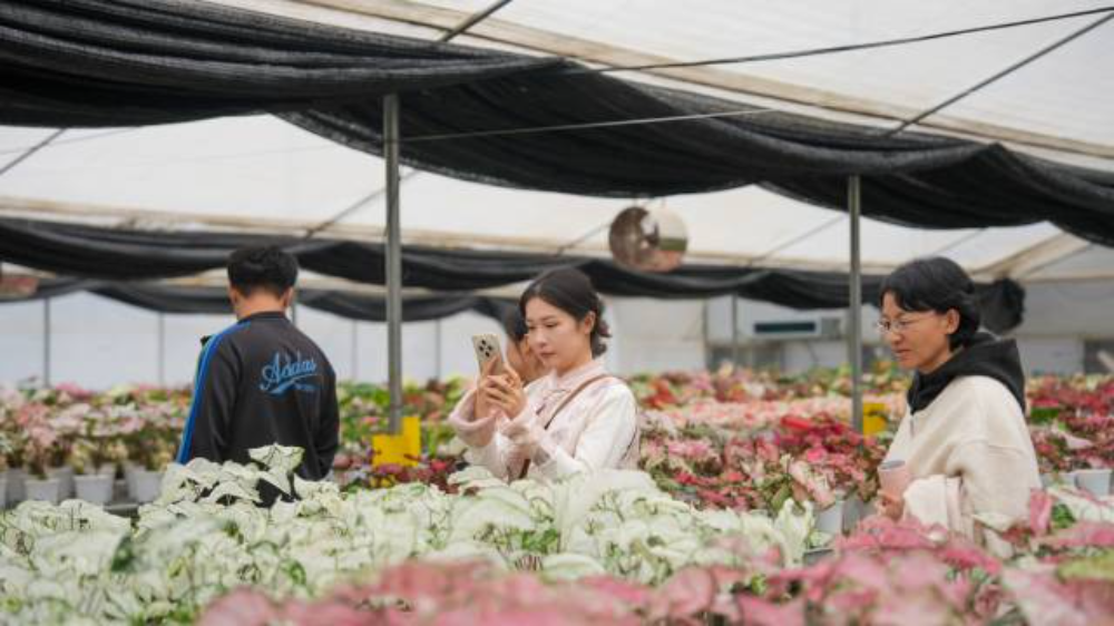 40ad770582c7457f9422b01a628b48fd (1).jpeg