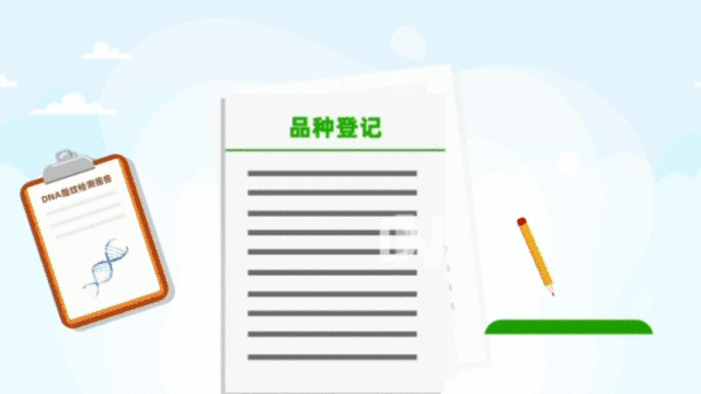 非主要农作物品种登记办法3.gif