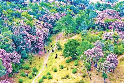 09.jpg