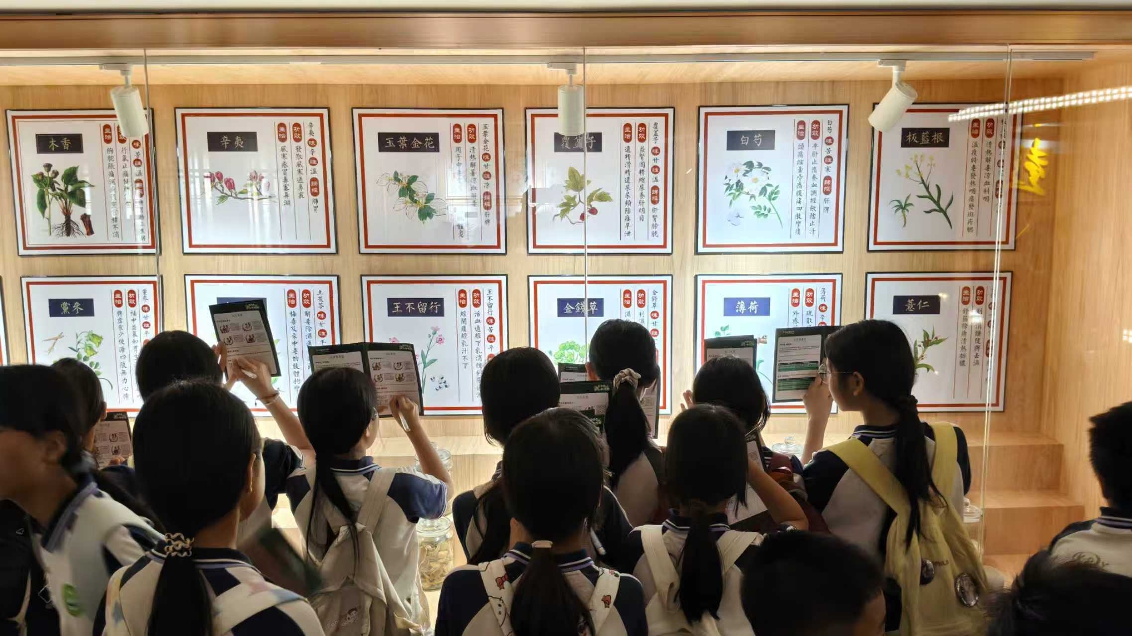 图片6.png