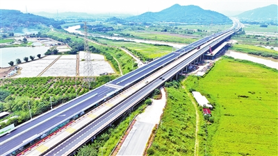 广肇高速改扩建项目新兴江特大桥施工航拍 (张荣博 摄).jpg