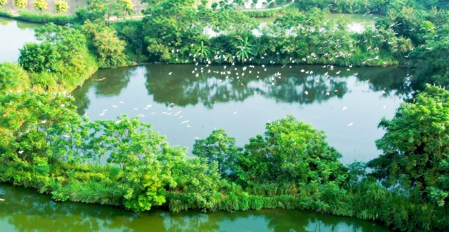 截图-mp.weixin.qq.com-2026.09.30-16_27_37.png