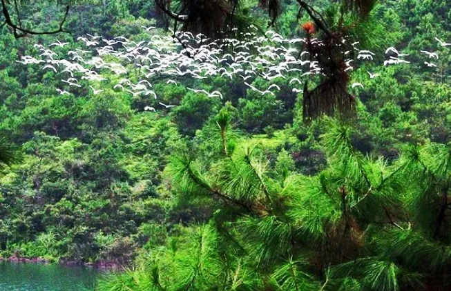 截图-mp.weixin.qq.com-2026.09.30-16_28_30.png