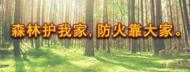 4.gif