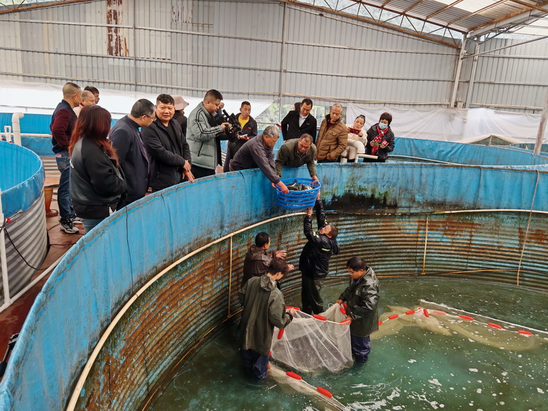 云浮盈富生态农业科技公司高位圆桶养殖基地走访见闻2.jpg
