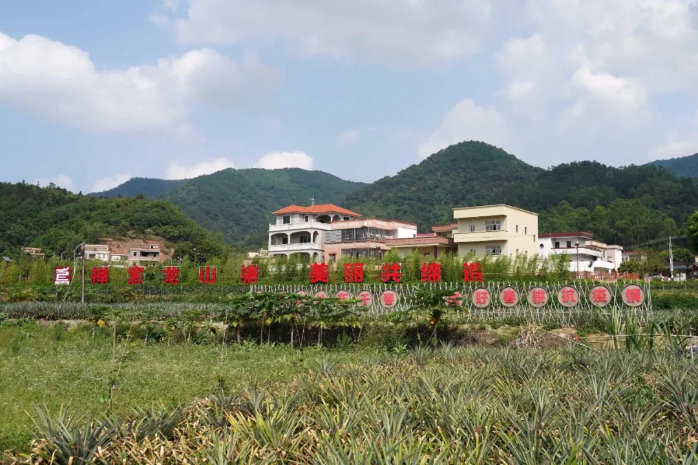云浮特色文旅品牌产品③ | 新兴天露生态之旅